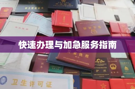 金昌快速办理与加急服务指南